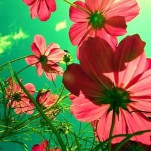 Meet your Posher, Stephanie jones